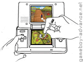 Nintendo DS